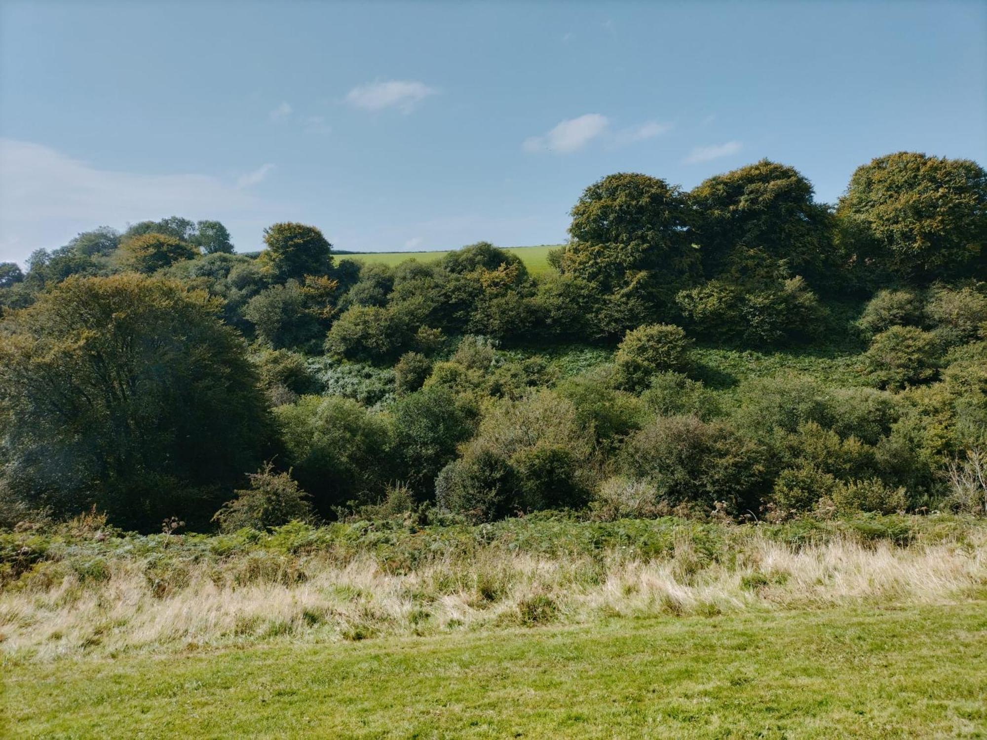 22 Stowford Gardens Combe Martin Apartment Luaran gambar